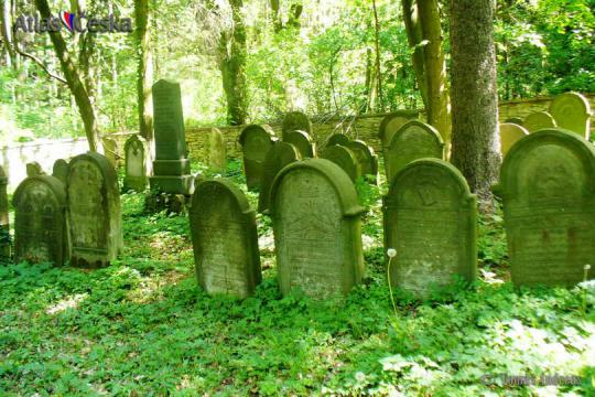 Luže Jewish Cemetery - 