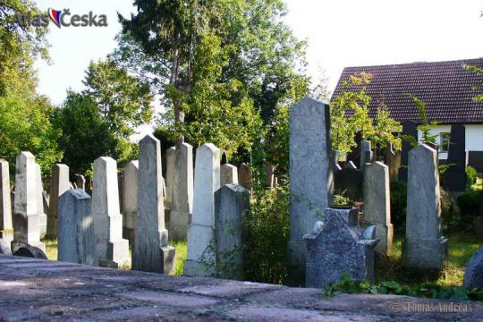 Židovský hřbitov Malešov - 