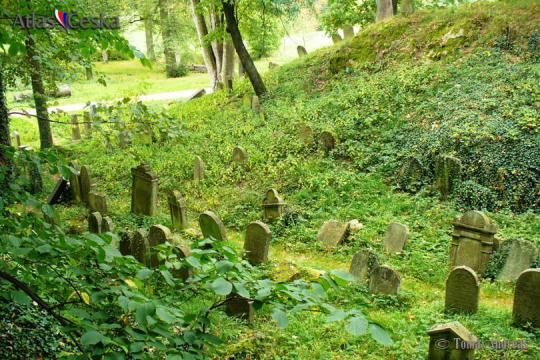 Židovský hřbitov Chodová Planá - 