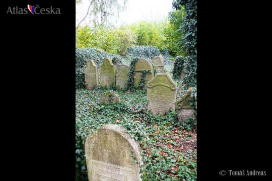 Židovský hřbitov Neveklov - 