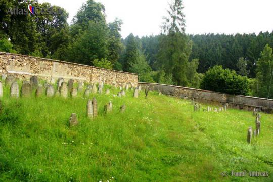 Židovský hřbitov Nová Cerekev - 