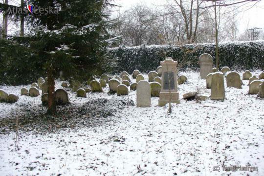 Židovský hřbitov Nová Včelnice - 