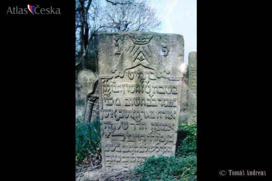 Židovský hřbitov Nový Bydžov - 