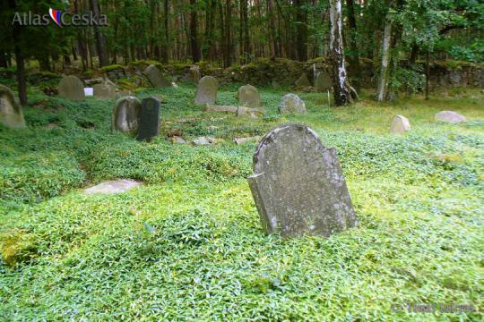 Židovský hřbitov Pňovany - 