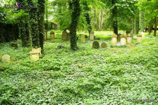 Židovský hřbitov Poběžovice - 