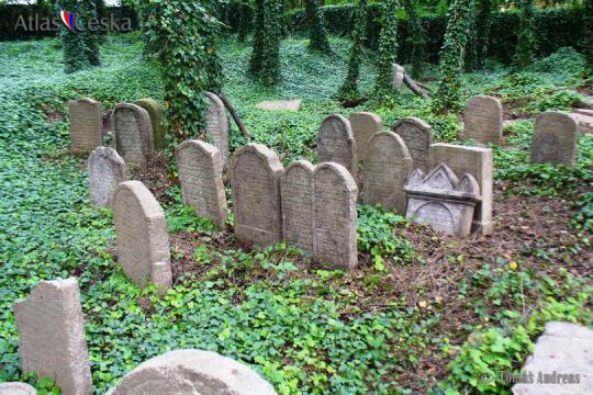 Židovský hřbitov Poběžovice - 