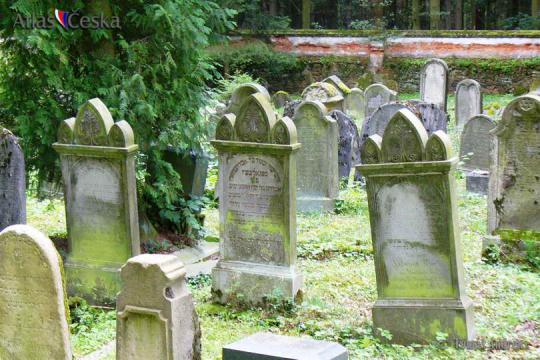Židovský hřbitov Puclice - 