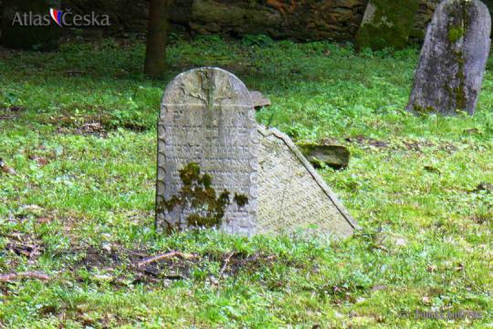 Židovský hřbitov Puclice - 