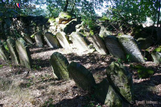 Židovský hřbitov Studený - 