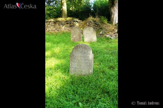Židovský hřbitov Švihov - 