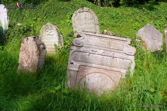 Židovský hřbitov Švihov - 