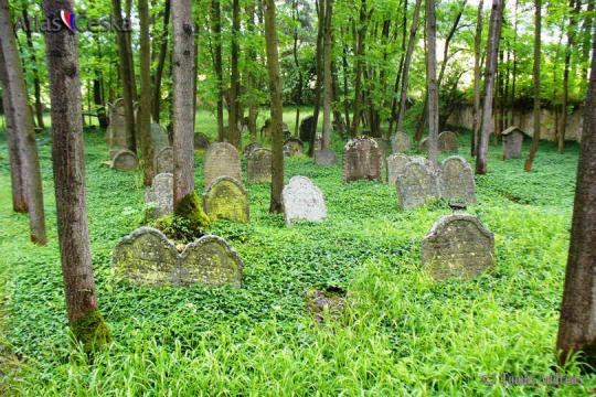 Židovský hřbitov - Telice - 