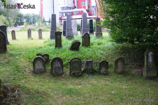 Židovský hřbitov Vamberk - 