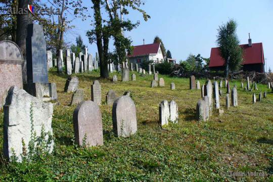 Židovský hřbitov Zbraslavice - 