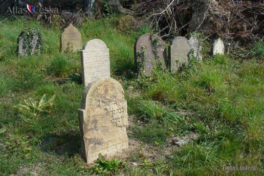 Židovský hřbitov Zbraslavice - 