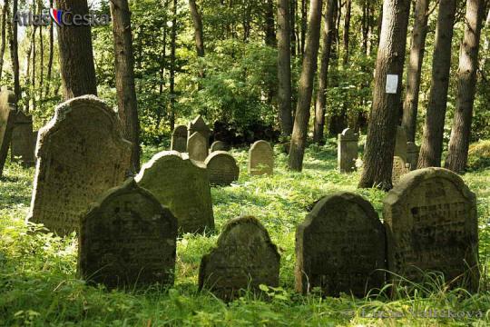 Židovský hřbitov Pořejov - 