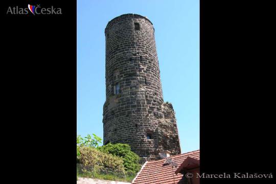 Zřícenina hradu Jenštejn - 
