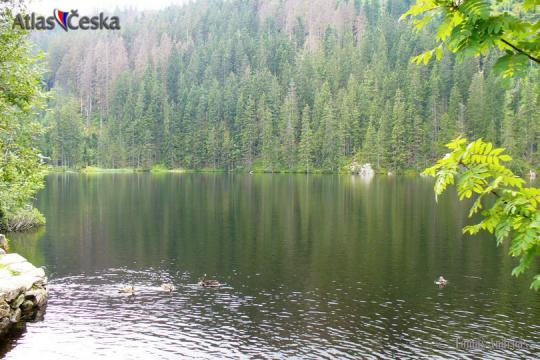 Prášilské jezero - 