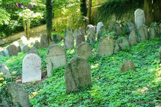 Židovský hřbitov Čkyně - 