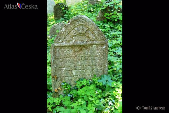 Židovský hřbitov Čkyně - 