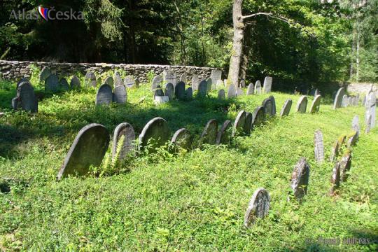 Židovský hřbitov Dub u Prachatic - 