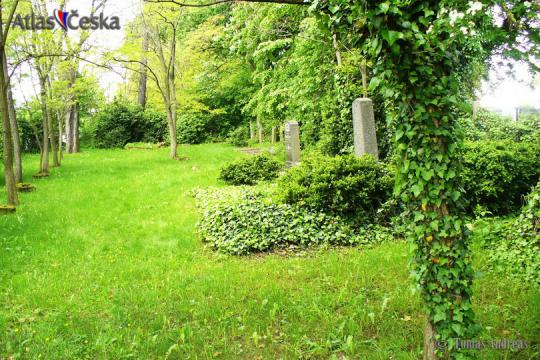 Židovský hřbitov - Holice v Čechách - 