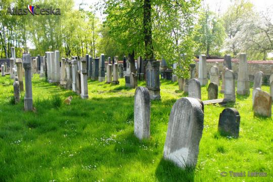 Židovský hřbitov Kostelec nad Labem - 