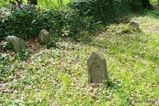 Židovský hřbitov Kostelec u Křížku - 