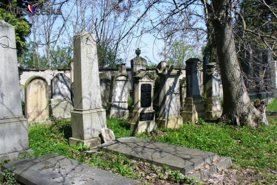 Židovský hřbitov Kovanice - 