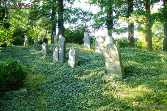 Židovský hřbitov Zalužany - 