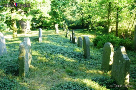 Židovský hřbitov Zalužany - 