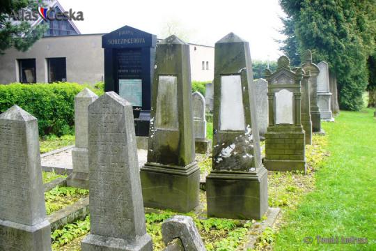 Židovský hřbitov - Polička - 