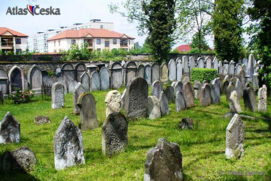 Heřmanův Městec Jewish Cemetery - 