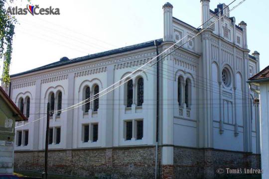 Synagoga Golčův Jeníkov - 