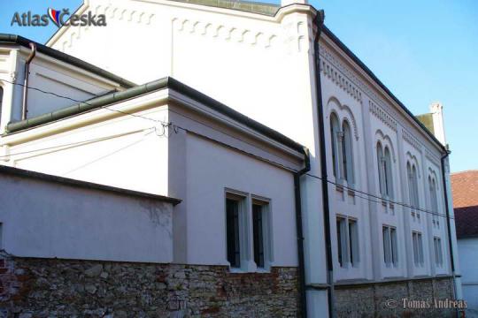 Synagoga Golčův Jeníkov - 