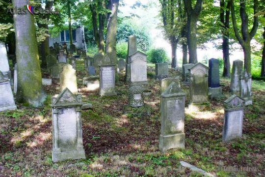 Židovský hřbitov - Tachov - 