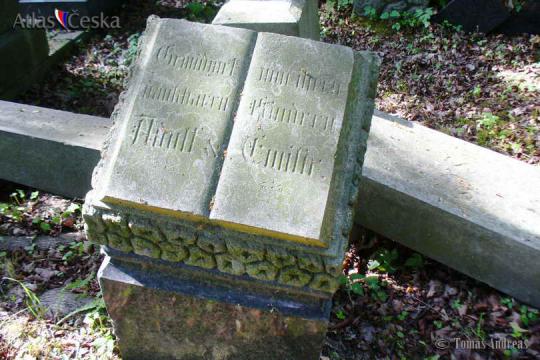 Židovský hřbitov - Tachov - 