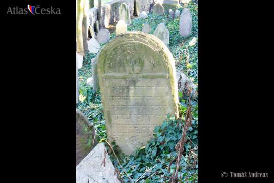 Židovský hřbitov - Třebíč - 