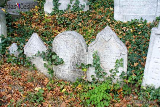 Židovský hřbitov - Velké Meziříčí - 