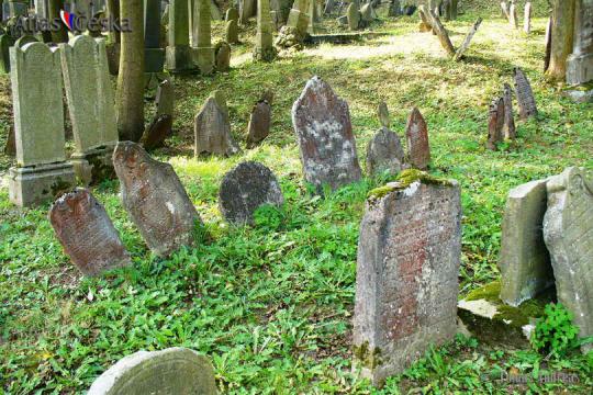 Židovský hřbitov - Polná - 