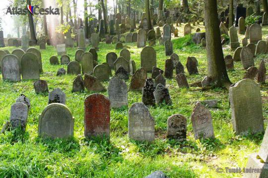 Židovský hřbitov - Polná - 
