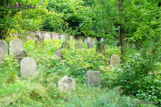 Židovský hřbitov Bohostice - 