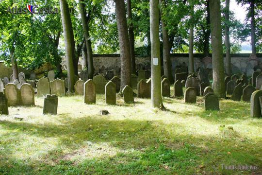 Židovský hřbitov Březnice - 