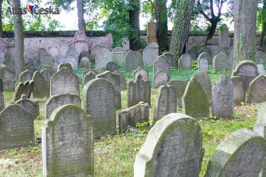Židovský hřbitov Březnice - 