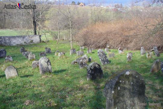 Židovský hřbitov Dlouhá Ves u Sušice - 