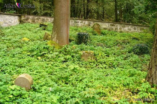 Židovský hřbitov Dolní Cetno - 