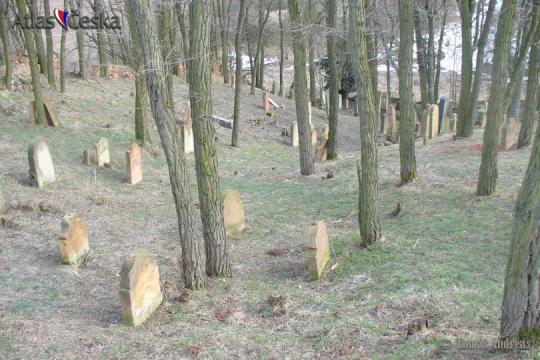 Židovský hřbitov Drahonice u Lubence - 