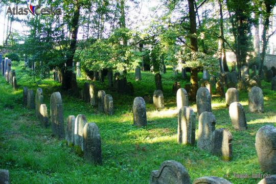 Židovský hřbitov Drážkov - 