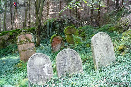 Židovský hřbitov Hřešihlavy - 