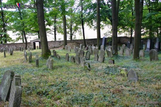 Židovský hřbitov Kamenná - 